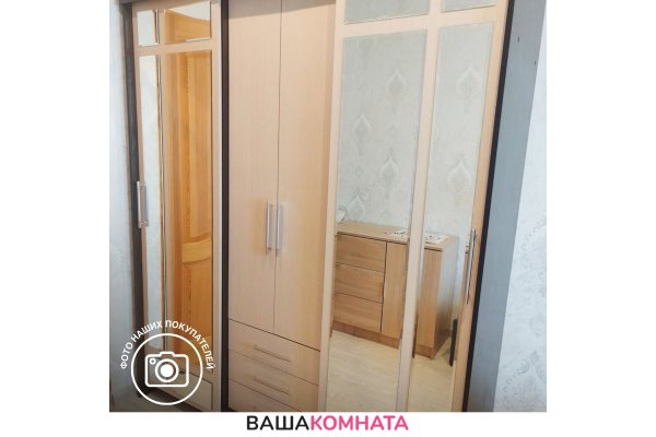 Шкаф-купе "Фортуна" 1,7 м 